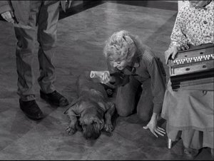 The Beverly Hillbillies Odcinek 22