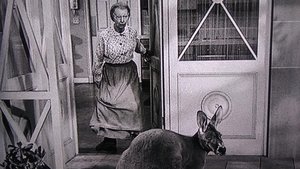 The Beverly Hillbillies Odcinek 16