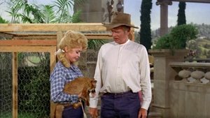 The Beverly Hillbillies Odcinek 2