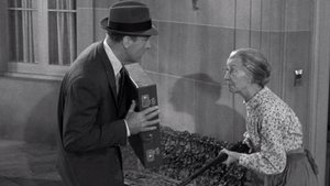 The Beverly Hillbillies Odcinek 28