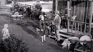 The Beverly Hillbillies Odcinek 34