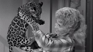 The Beverly Hillbillies Odcinek 25