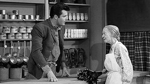 The Beverly Hillbillies Odcinek 3