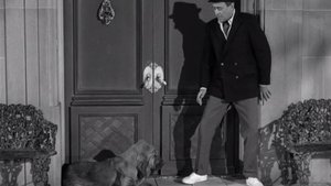 The Beverly Hillbillies Odcinek 20