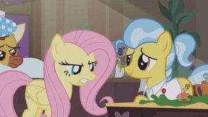 My Little Pony: Przyjaźń to magia Schronisko Fluttershy