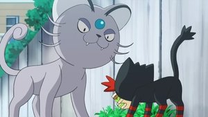 Pokémon Właśnie dlatego Litten to urwis!