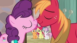 My Little Pony: Przyjaźń to magia Nie potrzeba słów