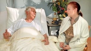 In aller Freundschaft Odcinek 36