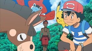 Pokémon Młody Kiawe farmę miał!