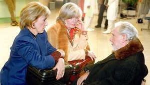 In aller Freundschaft Odcinek 28