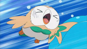 Pokémon Wielka próba nerwów!