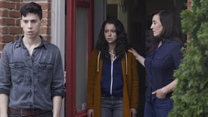 Orphan Black W szponach chciwości