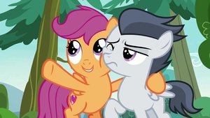 My Little Pony: Przyjaźń to magia Znaczki i pasje