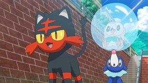 Pokémon Niewielcy też są wielcy!