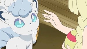 Pokémon Poznajmy się!