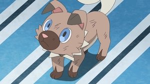 Pokémon Co się wydarzyło na Wzgórzu Szponu?