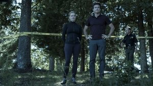 Ozark Wóz albo przewóz