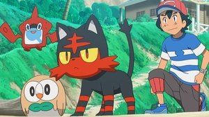 Pokémon Straszliwe poszukiwania łopatki!