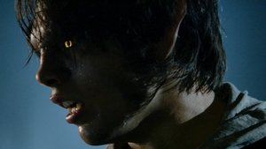 Teen Wolf: Nastoletni wilkołak Powidok
