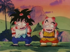 Dragon Ball Trening według Genialnego Żółwia