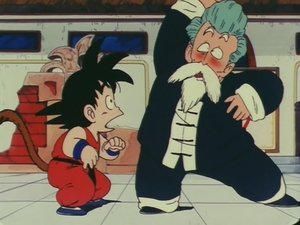 Dragon Ball Walka finałowa