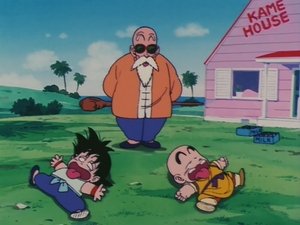 Dragon Ball Intensywny trening