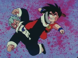 Dragon Ball Finał