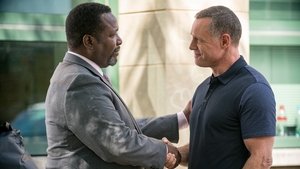 Chicago P.D. Reforma
