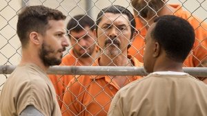 Brooklyn 9-9 W kiciu: część 1