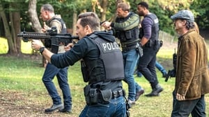 Chicago P.D. Dom