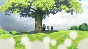 Black Clover Przysięga dwóch chłopców