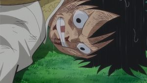 One Piece Odcinek 809