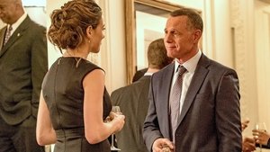 Chicago P.D. Polityka