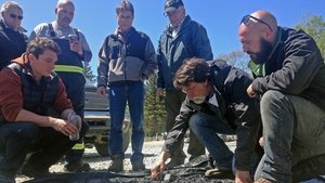 Klątwa Wyspy Dębów Odcinek 1