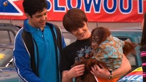 Drake & Josh Odcinek 9