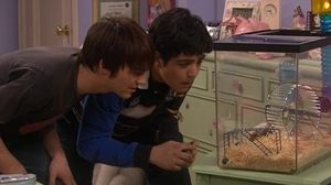Drake & Josh Odcinek 13