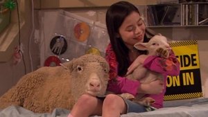 Drake & Josh Odcinek 11