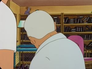 Bobby kontra wapniaki Hank jankesem