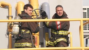 Chicago Fire Prawo dżungli