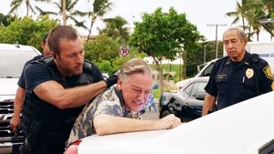 Hawaii 5.0 Odcinek 13