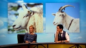 QI Odcinek 17