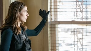 Chicago P.D. Utajnione