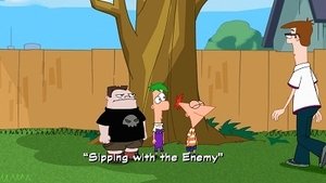 Fineasz i Ferb Kawka z wrogiem