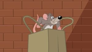 Tom i Jerry Show Odcinek 64