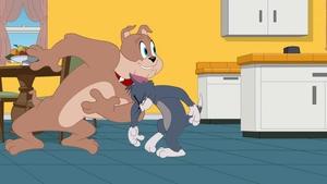 Tom i Jerry Show Odcinek 13