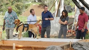 Hawaii 5.0 Odcinek 16