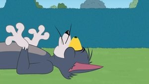 Tom i Jerry Show Odcinek 25