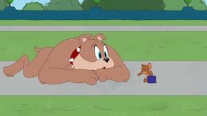 Tom i Jerry Show Odcinek 31