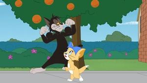 Tom i Jerry Show Odcinek 76