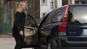 Homeland Przydatny idiota